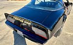 1979 Trans Am Thumbnail 32