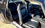 1979 Trans Am Thumbnail 49