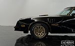 1977 Trans Am Y81 Special Edition Thumbnail 20