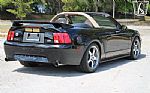 2004 Mustang Roush Thumbnail 9
