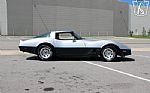 1981 Corvette Thumbnail 12