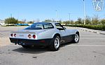 1981 Corvette Thumbnail 19