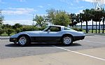 1981 Corvette Thumbnail 20