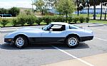 1981 Corvette Thumbnail 21