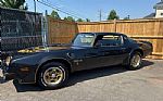 1976 Firebird Trans Am Thumbnail 10