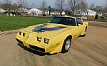 1979 Firebird Trans Am Thumbnail 1