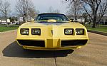 1979 Firebird Trans Am Thumbnail 10