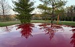 1966 Chevelle Thumbnail 26