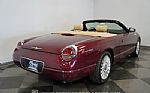 2004 Thunderbird Thumbnail 11