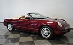 2004 Thunderbird Thumbnail 15