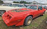 1980 Trans Am Thumbnail 1