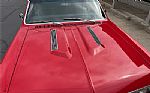 1967 Chevelle Thumbnail 5