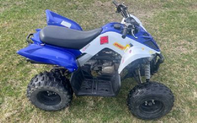 Photo of a 2016 Yamaha Raptor 90 for sale