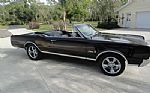 1967 Cutlass Supreme Thumbnail 18