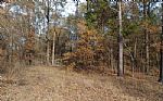 Acres In Red River County Thumbnail 4