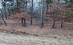  Acres In Red River County Thumbnail 11