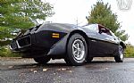 1981 Firebird Thumbnail 5