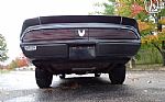 1981 Firebird Thumbnail 14
