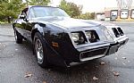 1981 Firebird Thumbnail 22