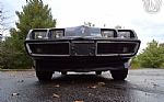 1981 Firebird Thumbnail 26