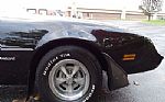 1981 Firebird Thumbnail 35