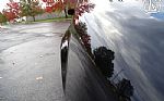 1981 Firebird Thumbnail 39