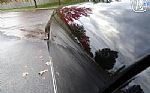 1981 Firebird Thumbnail 41