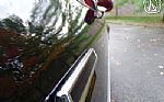1981 Firebird Thumbnail 43