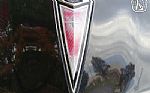 1981 Firebird Thumbnail 66
