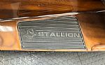 2009 Stallion Thumbnail 29