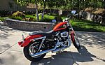 2007 Sportster Thumbnail 3