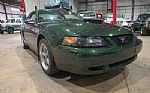 2001 Mustang Bullitt Thumbnail 12