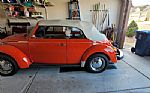  Beetle Thumbnail 3