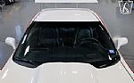 2002 Corvette Z06 GTR Thumbnail 6