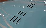 1957 Bel Air Thumbnail 60