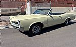 1966 GTO Thumbnail 12