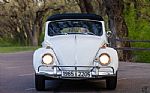 1965 Beetle Thumbnail 15