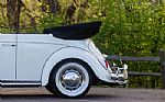 1965 Beetle Thumbnail 63