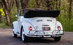 1965 Beetle Thumbnail 66