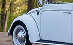 1965 Beetle Thumbnail 75