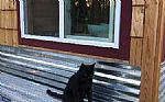 2018 Tiny Home Thumbnail 22