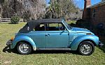 1979 Beetle Thumbnail 3