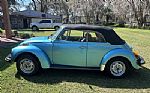 1979 Beetle Thumbnail 7