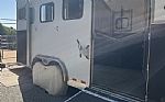 2021 3 Horse Reverse Thumbnail 8