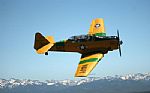 1943 SNJ-5 Thumbnail 4