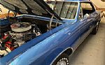 1966 Chevelle Thumbnail 5
