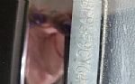 1982 Continental Mark VI Bill Blass Thumbnail 8