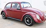 1966 Beetle Thumbnail 2