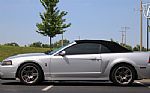 2003 Mustang Thumbnail 26