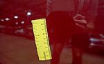 1970 Cutlass Supreme Thumbnail 40